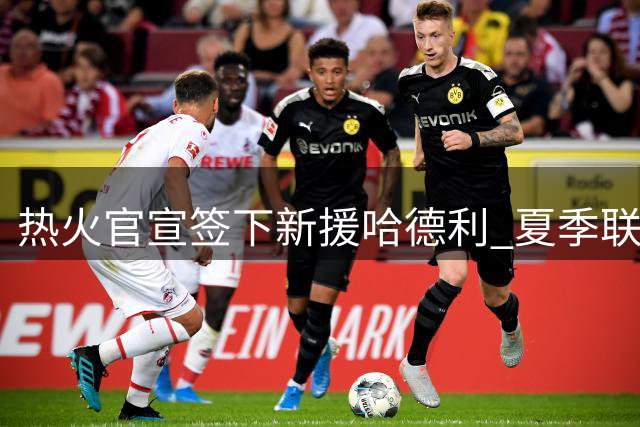 热火官宣签下新援哈德利 夏季联赛表现亮眼